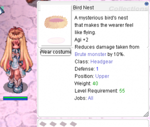 Bird Nest.png